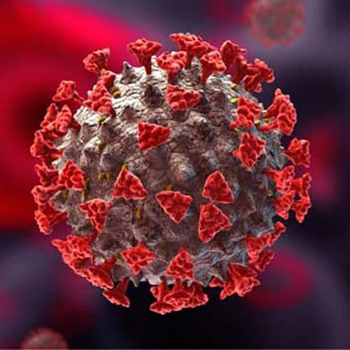 viral-particle
