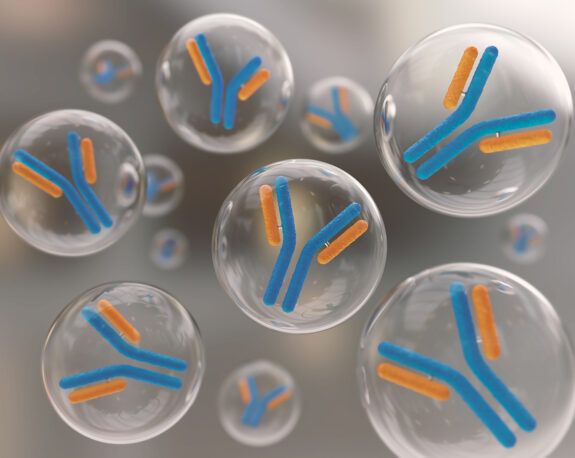 Antibodies
