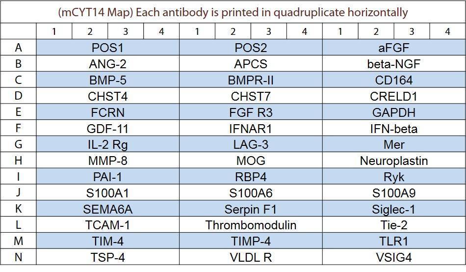 Mouse Cytokine Array Q14 Qam Cyt 14