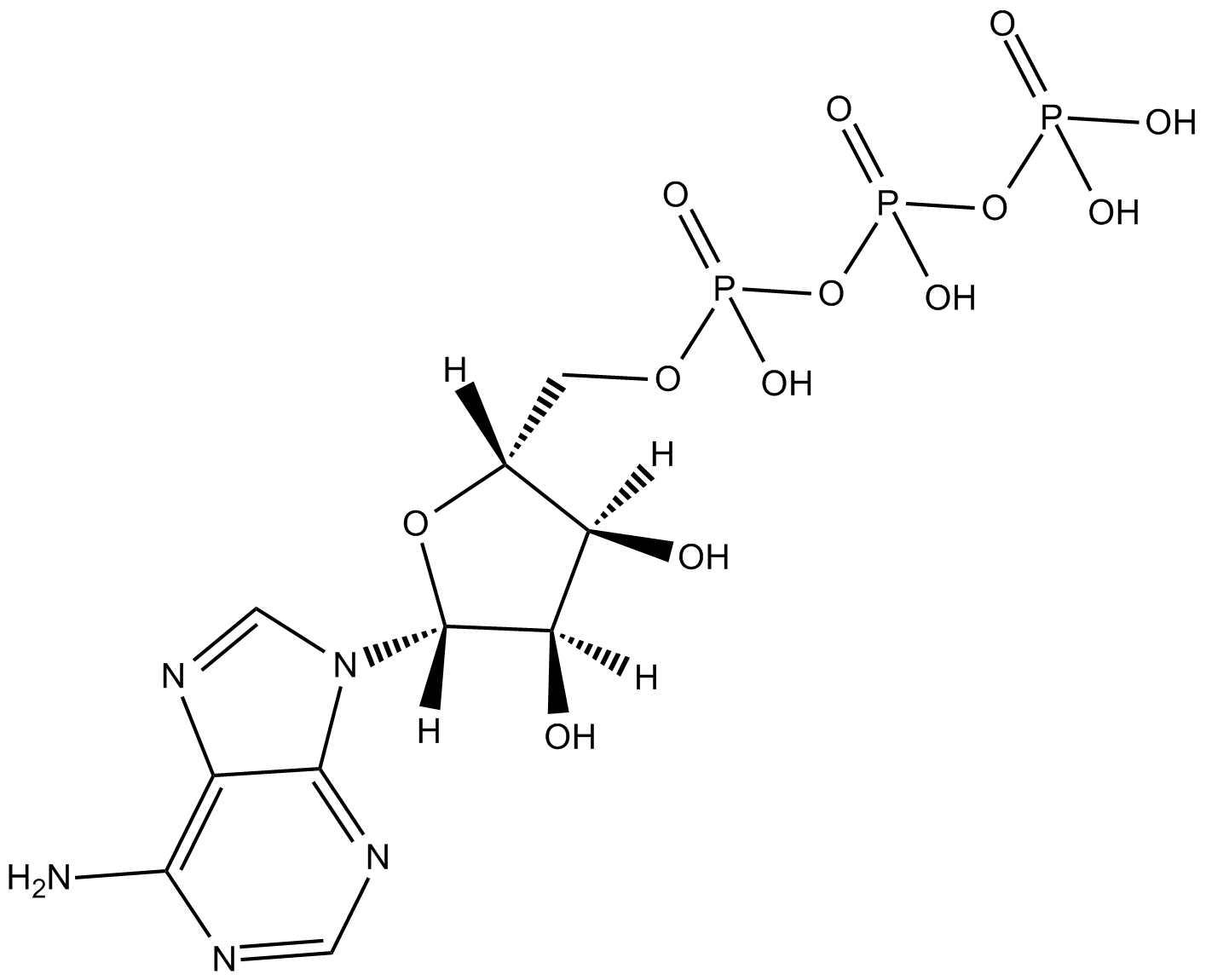 Adenosine 5-triphosphate [331-22141]