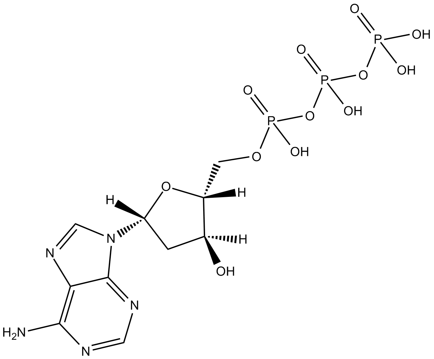 Deoxyadenosine 5-triphosphate [331-22147]