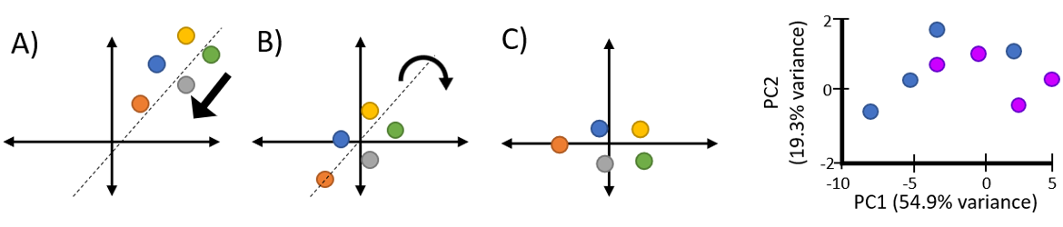 PCA Analysis - Discovery in the Post-Genomic Age