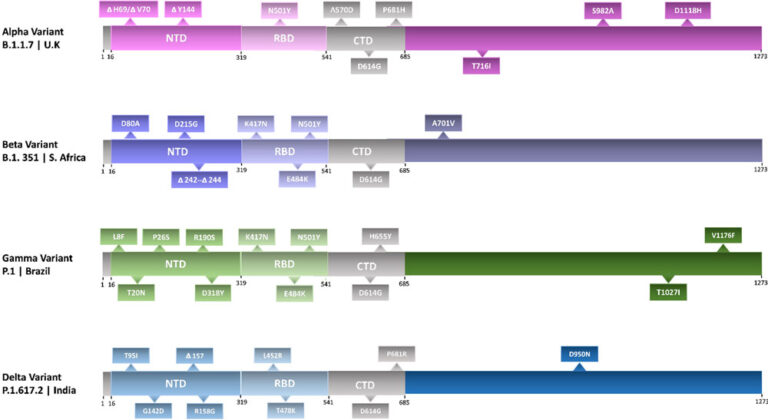 SARS-CoV-2 Variants: An Emerging Landscape Of Therapeutic Targets ...