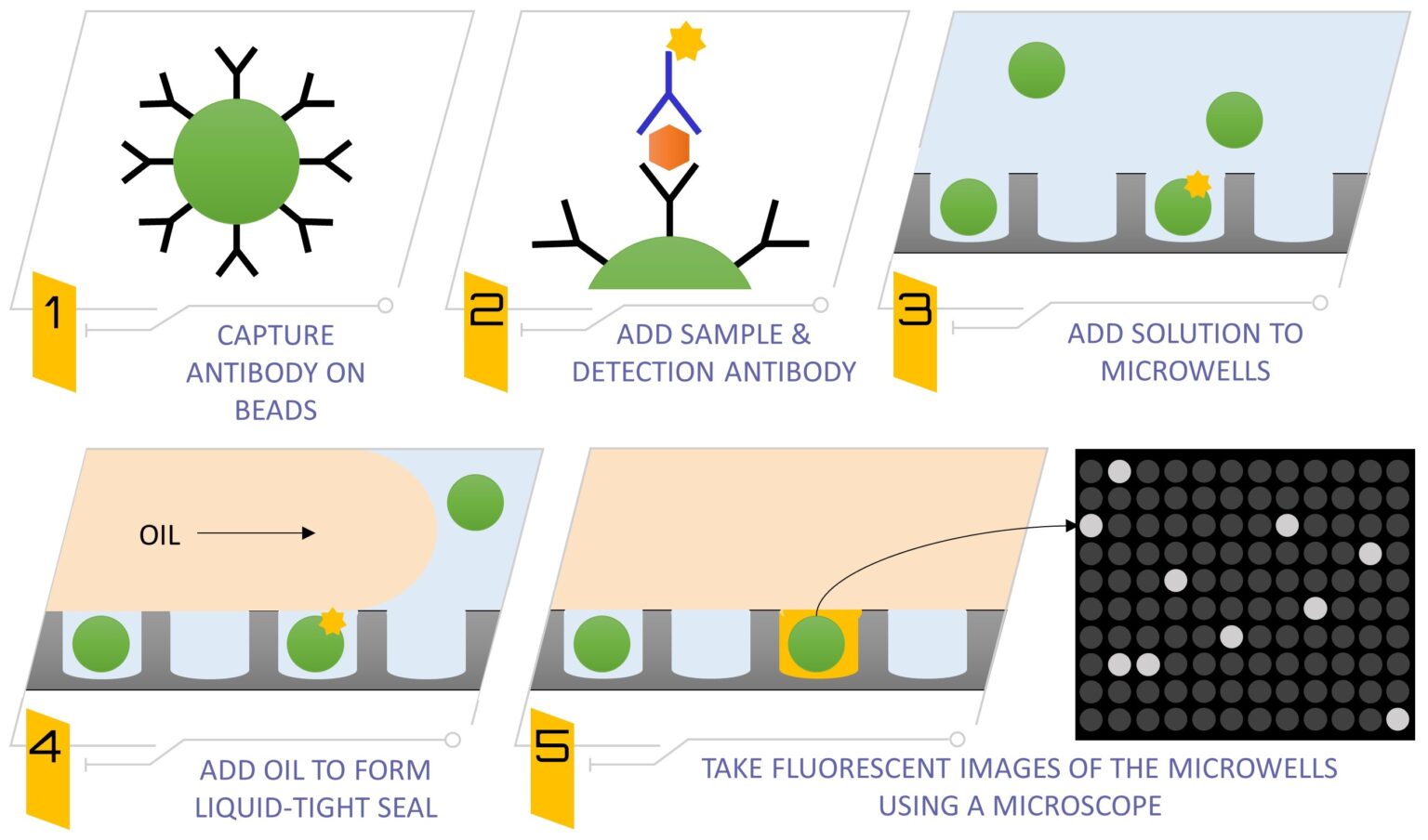 ELISA Vs. Immuno-PCR Vs. SIMOA: Comparison Of Protein Detection Tools ...