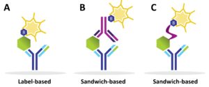 Multiplex Protein Detection with Antibody Arrays - Discovery in the ...