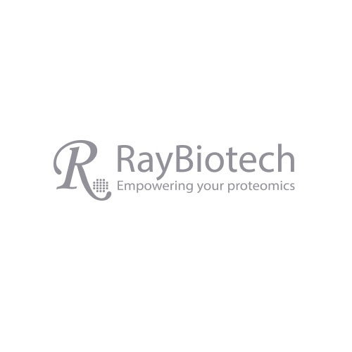 Mouse L1308 Array, Membrane | RayBiotech