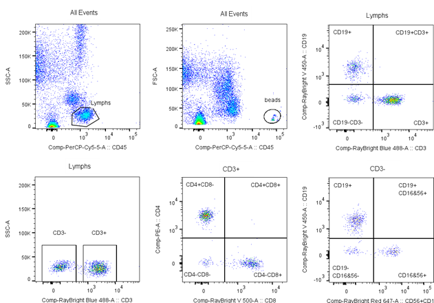 TBNK Flow Cytometry Assay Kit | RayBiotech