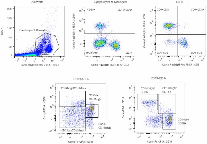 TBMNK Flow Cytometry Assay Kit | RayBiotech