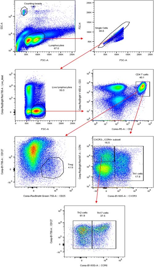 Understanding SARS-CoV-2-Mediated Inflammatory Responses: From